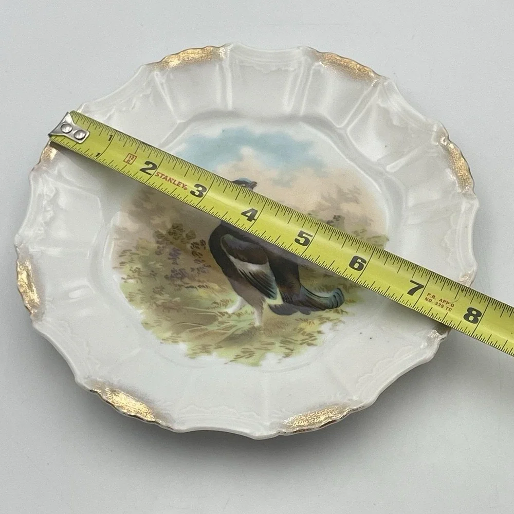 Antique 1920s Silesia‎ Germany Game Bird Scenic Porcelain Cabinet Plate 8